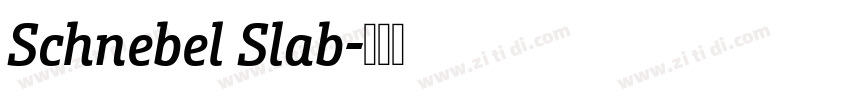 Schnebel Slab字体转换 Schnebel Slab字体转换